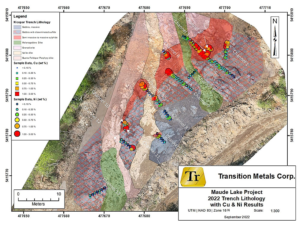 Figure 2:  Results of the 2022 trench mapping and channel sample analyses